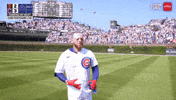 Chicago Cubs Mlb GIF