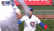 Jumping Chicago Cubs GIF
