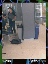 GIF by hackny
