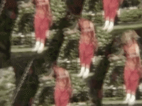 the revolution prince GIF