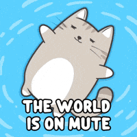 Floating Do Not Disturb GIF by MESA My Emotional Support Animal
