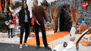 Halloween Politics GIF by BuzzFeed