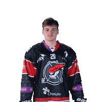 Hokej Sticker by Piráti Chomutov