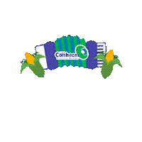 Conhecer Junino Sticker by Colégio Conhecer
