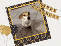 wufflecker wufflecker wuffleckerbirthday wuffleckerglückwunsch GIF