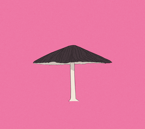 mushroom tripping GIF by Toby Garrow