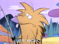 nickrewind nicksplat angry beavers GIF