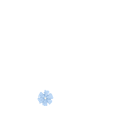 Flower Power Birthday Sticker