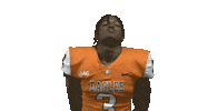 Nfl Preseason Housecall Sticker by Carson-Newman Athletics