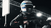 Racing Driver Bird GIF by Jaguar Racing