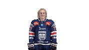 Celebration Goal Sticker by Fehervar AV19