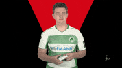 Ea Sports Fifa GIF by Bundesliga