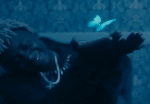 Hip Hop Butterfly GIF by Ken Carson