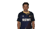 Vbl Shush Sticker by Bundesliga