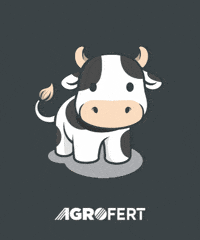 Kráva GIF by AGROFERT