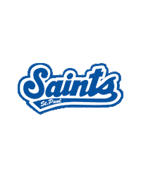 saintsbaseball Sticker by St. Paul Saints