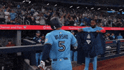 Blue Jays Baseball GIF by Toronto Blue Jays