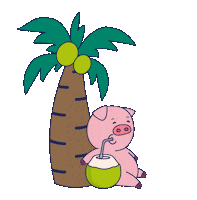 piggyhostels goa piggyhostel tendercoconut goachill Sticker