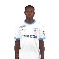 Ligue 1 Football Sticker by Olympique de Marseille