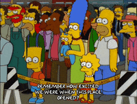 homer simpson episode 10 GIF