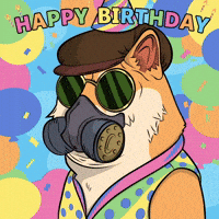 Happy Birthday Party GIF by Doge Pound