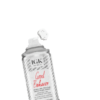 Good Behavior Salon Sticker by IGK Hair