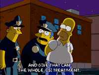 homer simpson eddie GIF