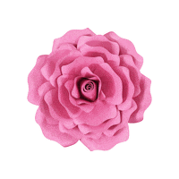 Party 花 Sticker by takanaga