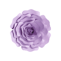 Party 花 Sticker by takanaga