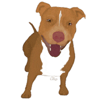 flo_creative_studio love dog pitbull molly Sticker