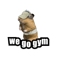 Workout Gym Sticker
