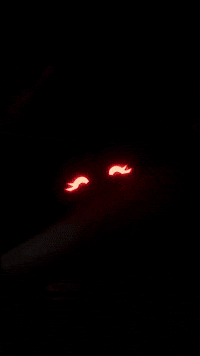 Five Nights At Freddys GIF by Youtooz