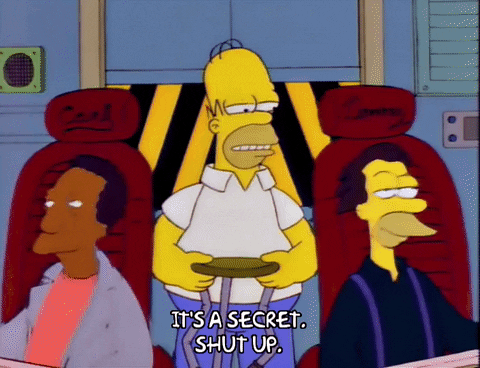 homer simpson GIF