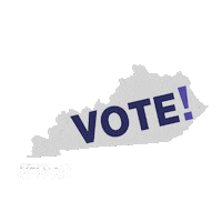 Vote Voting Sticker by Spectrum News NY1