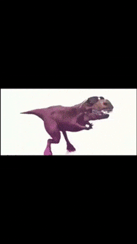 Dance Vibe GIF