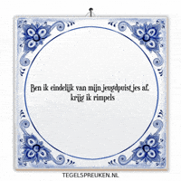 Humor Nl GIF by Tegelspreuken.nl