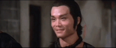 martial arts film GIF by Shaw Brothers
