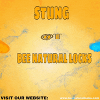 BeeNaturalLocks bee natural locks beenaturallocks GIF