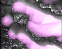 tele_visiones televisiones GIF