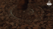 Season 1 Boom GIF by Doctor Who