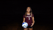 Littlerockvb GIF by Little Rock Athletics