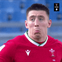 Wales Rugby GIF by Guinness Six Nations