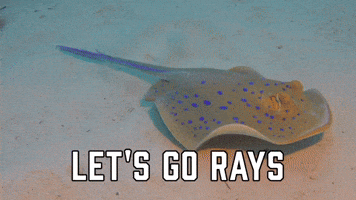 Let's Go Rays