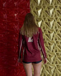 Elon Volleyball GIF by Elon Phoenix