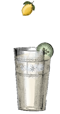Gin And Tonic Drinks Sticker by HENDRICK'S GIN