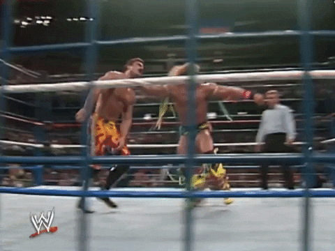 Ultimate Warrior Wrestling GIF by WWE
