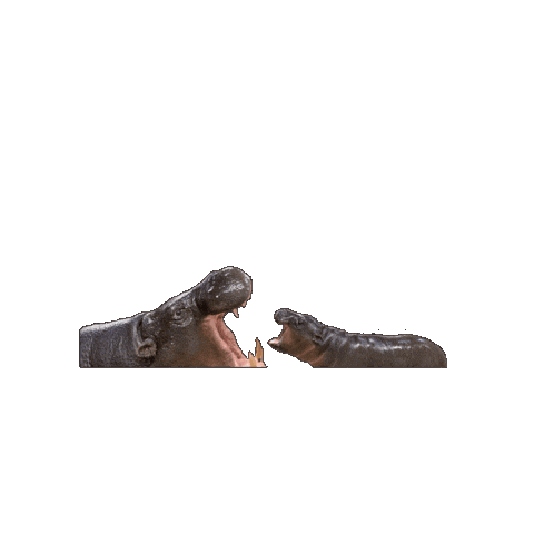 Grand Rapids Baby Sticker by John Ball Zoo