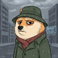 Sad Shiba Inu GIF by Doge Pound