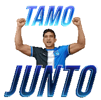 Sticker by CapitalCF