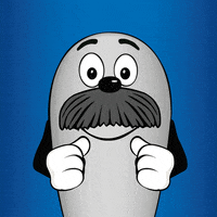 Hr Reaction GIF by Hessischer Rundfunk